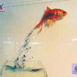 acrilico-2-150x150